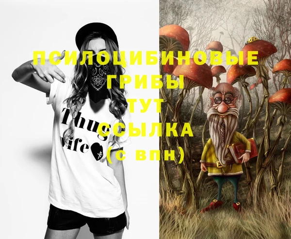 МДМА Новозыбков