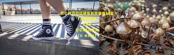 МДМА Новозыбков