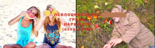 МДПВ Новодвинск