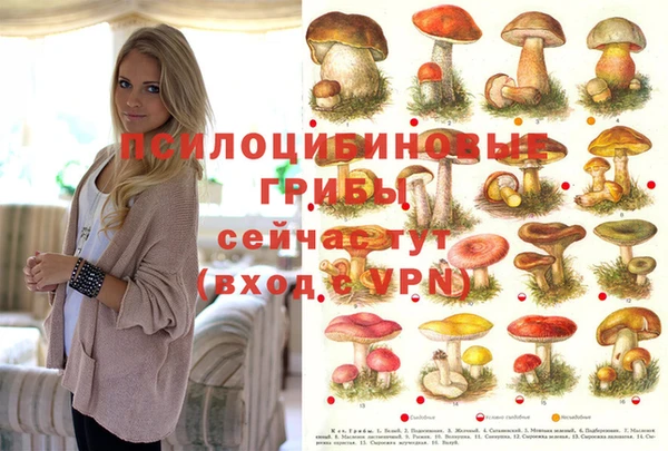 мескалин Апатиты
