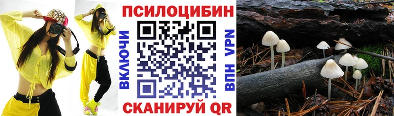 Псилоцибиновые грибы Cubensis  закладки  Волоколамск 