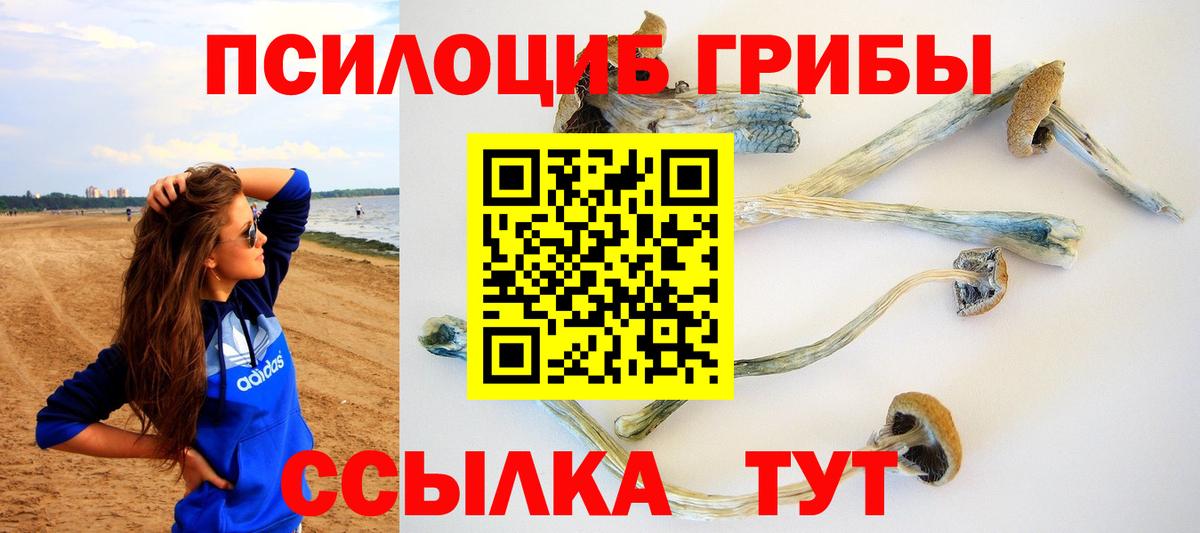 закладка  Псилоцибиновые грибы Psilocybe  Вход с VPN  Волоколамск 
